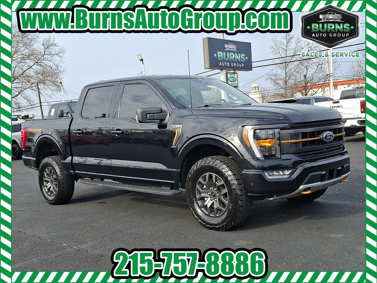 2022 Ford F-150 Tremor's photo