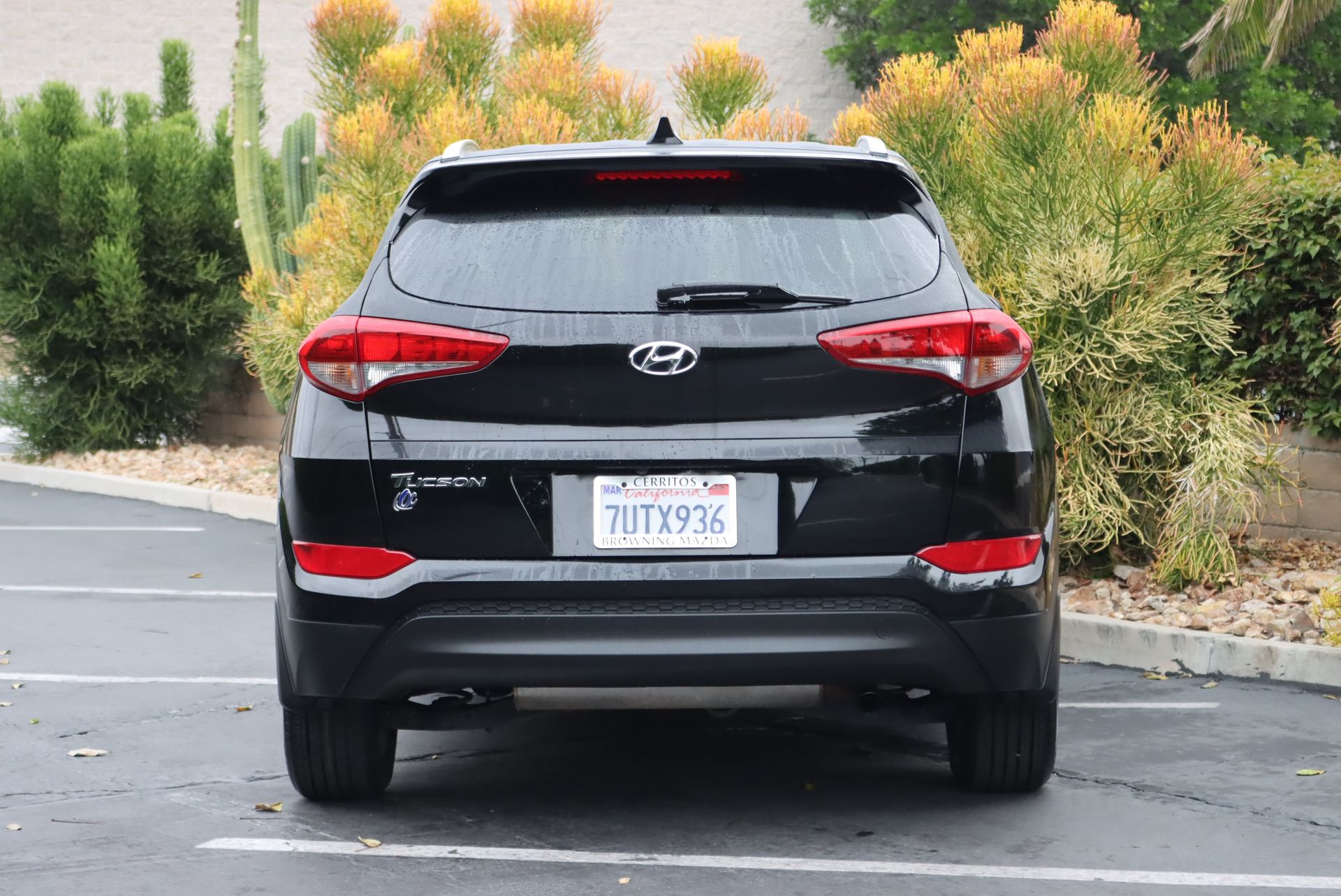 2017 Hyundai Tucson SE Plus photo 4
