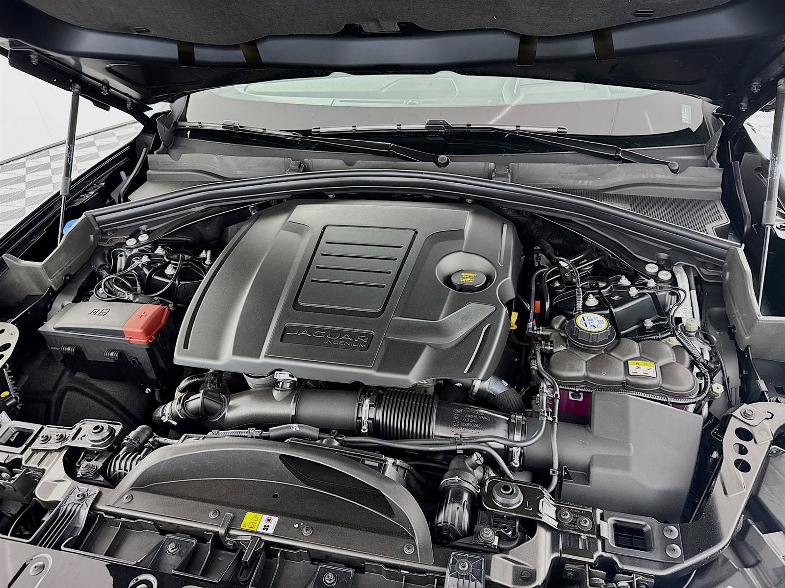 2026 Jaguar F-PACE P250 R-Dynamic S photo 31