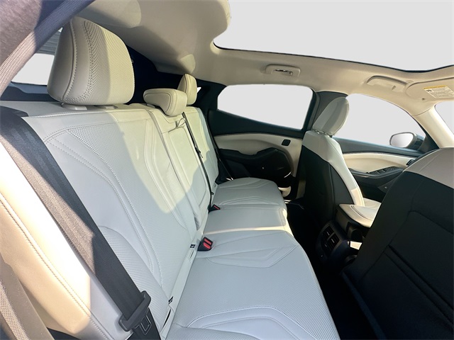2021 Ford Mustang Mach-E Premium photo 24