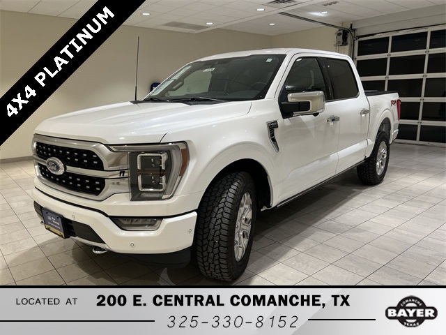 2022 Ford F-150 Platinum's photo