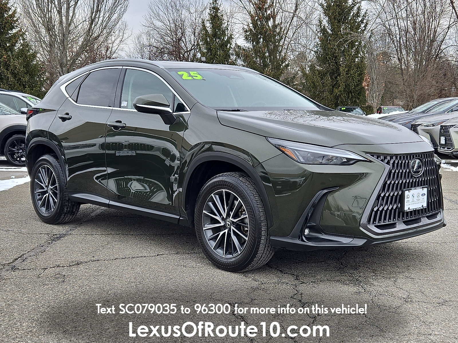 2025 Lexus NX 350's photo