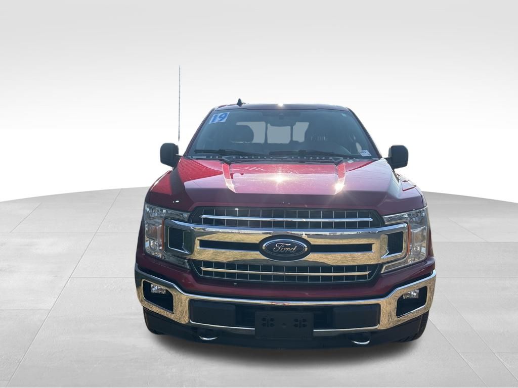 2019 Ford F-150 XLT photo 8
