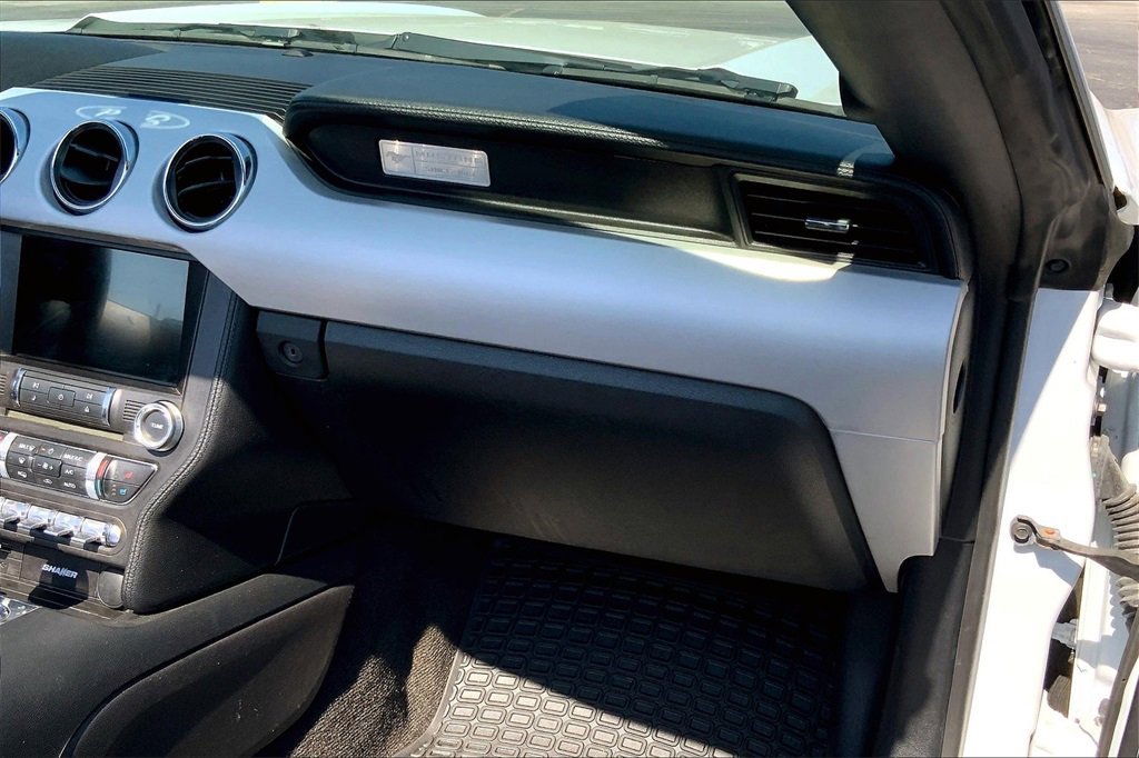 2017 Ford Mustang EcoBoost Premium photo 14