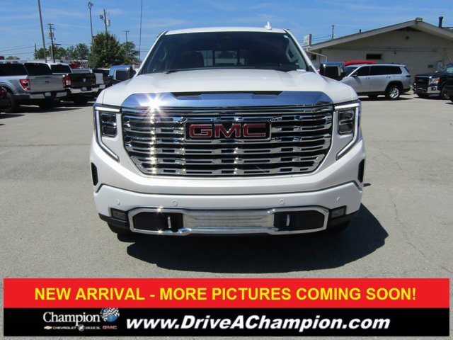 2022 Gmc Sierra 1500 Denali photo 2