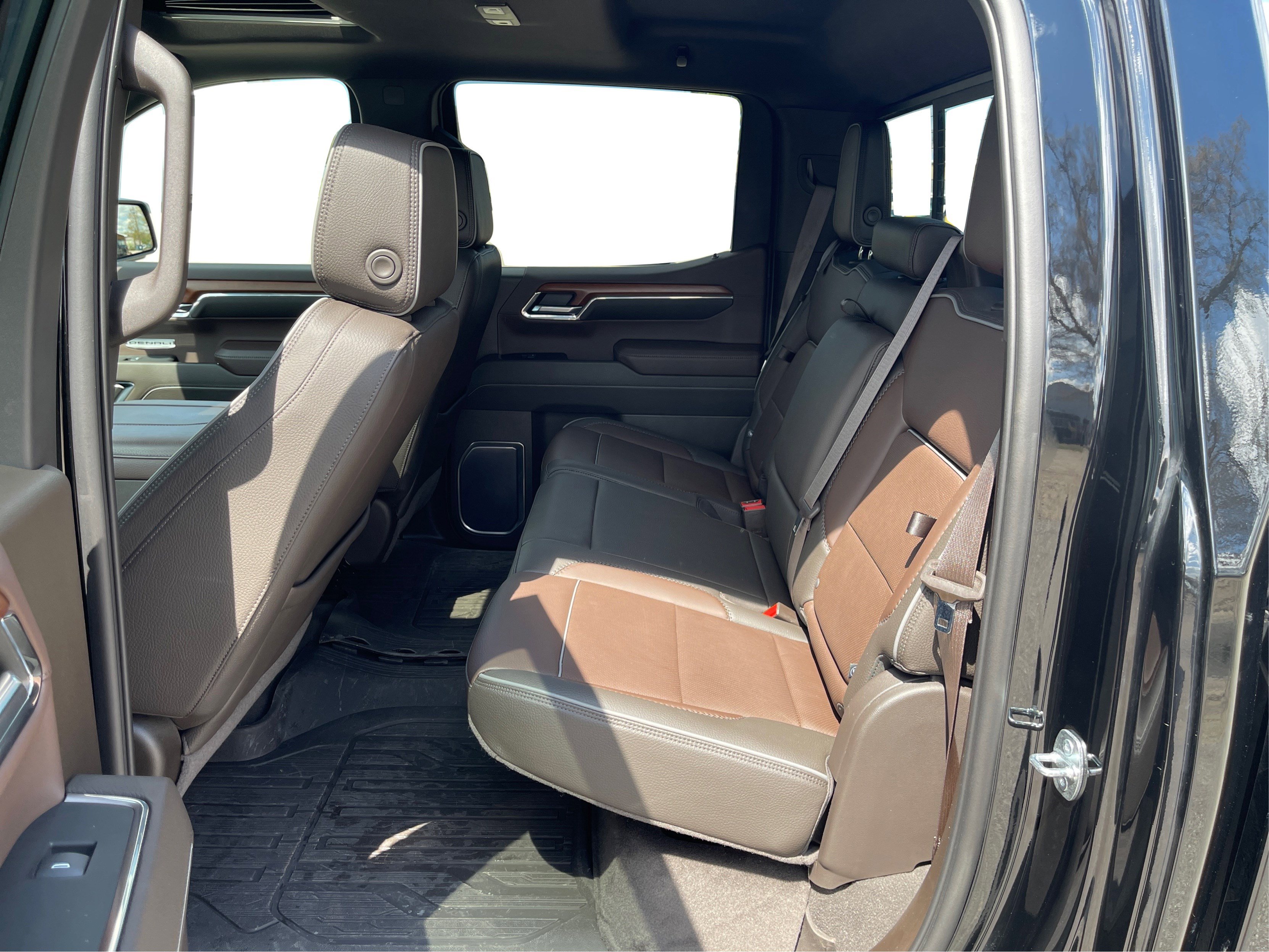 2023 Gmc Sierra 1500 Denali photo 10