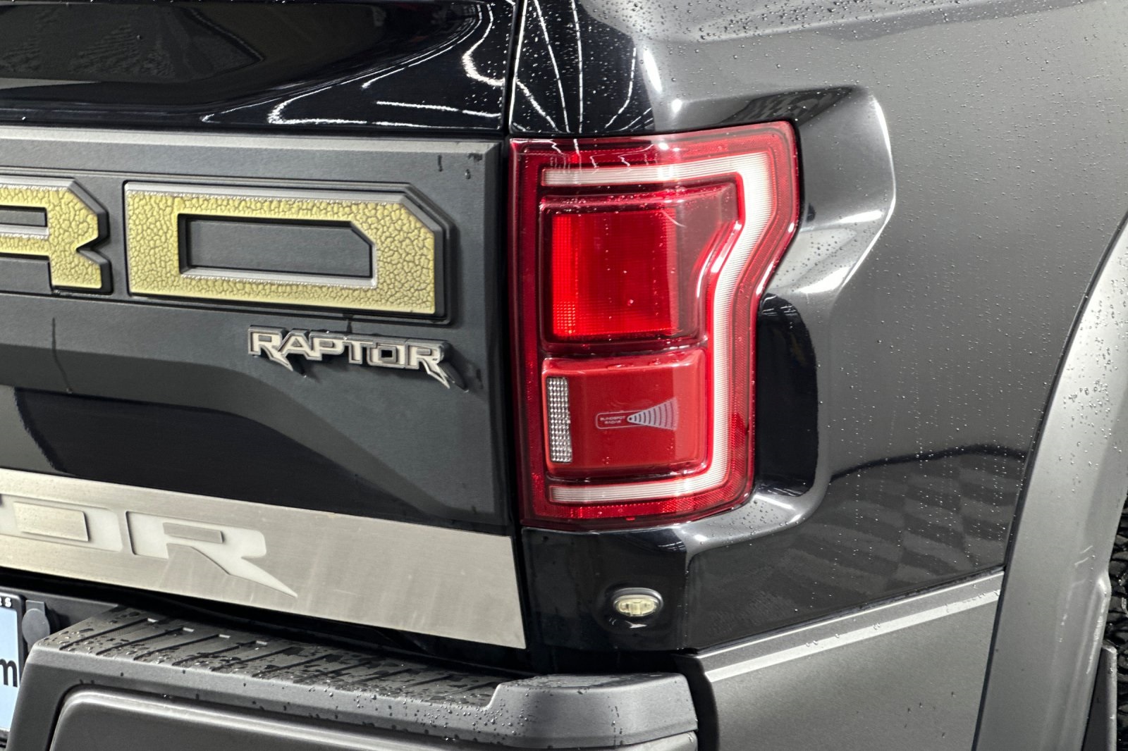2019 Ford F-150 Raptor photo 24