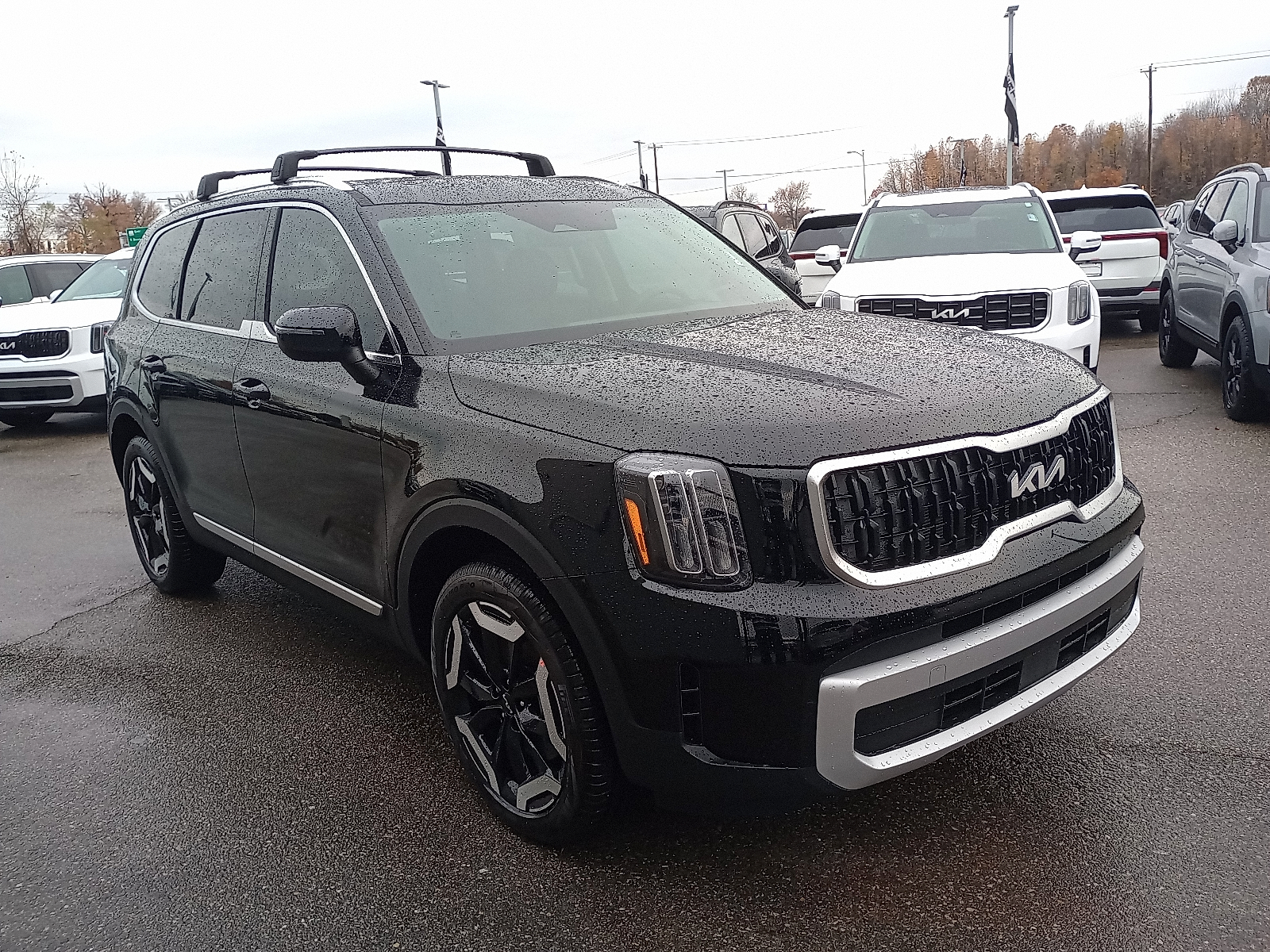 2025 Kia Telluride EX's photo