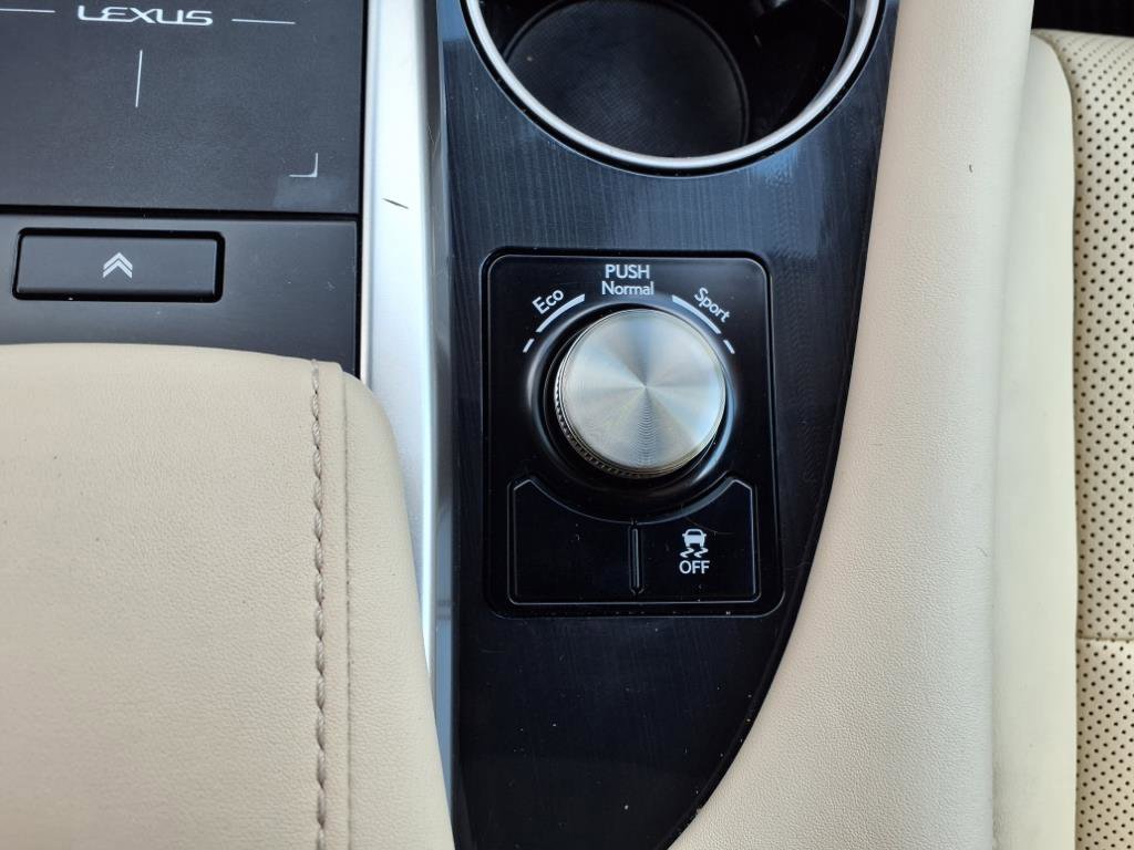2021 Lexus RX 350 photo 16