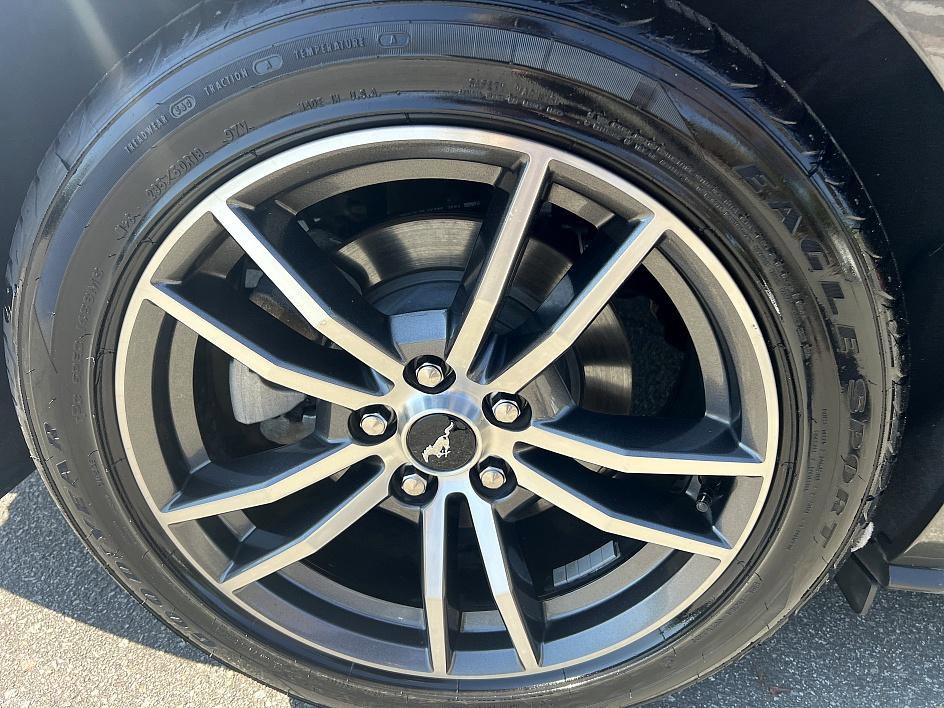 2019 Ford Mustang EcoBoost Premium photo 11