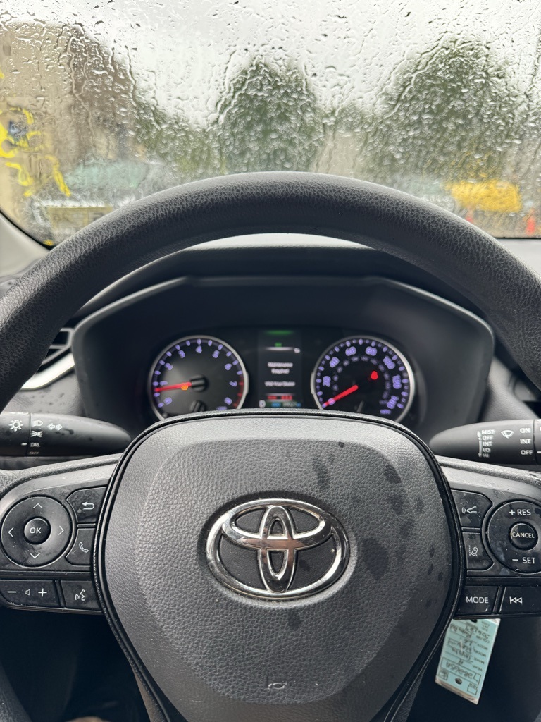 2019 Toyota RAV4 LE photo 9