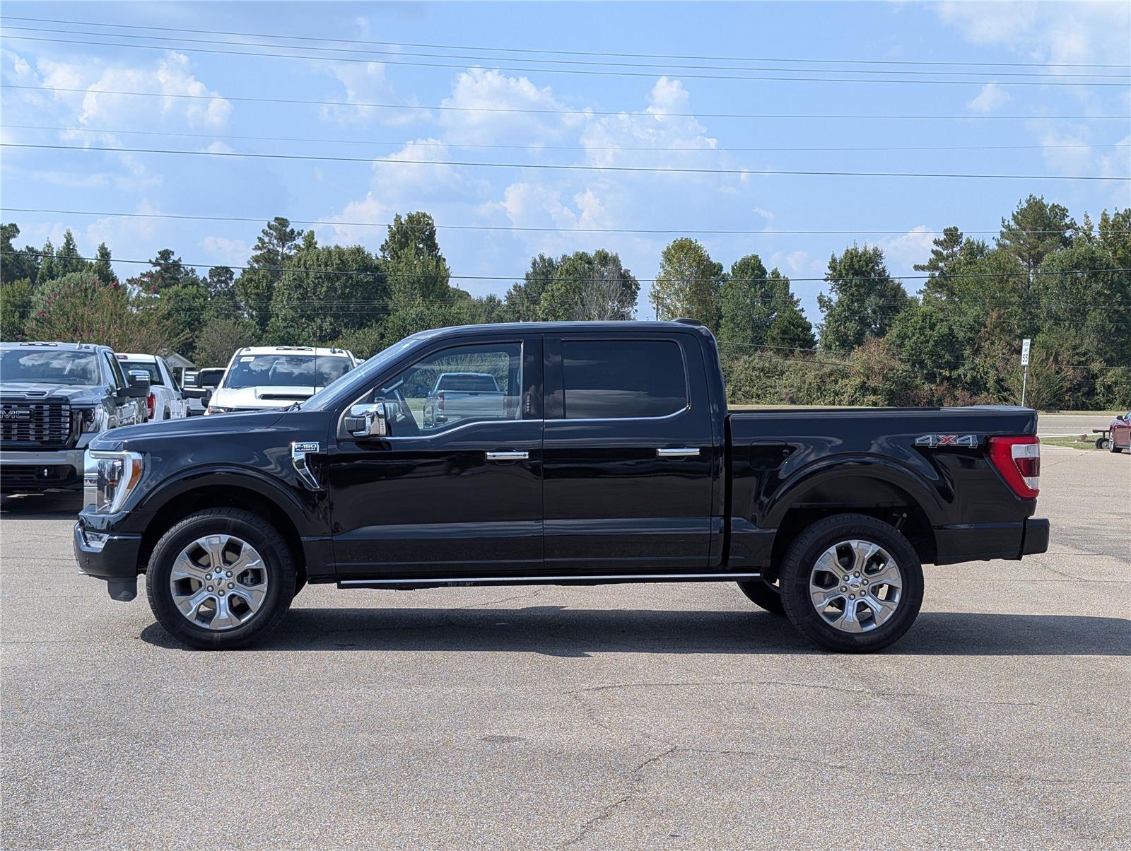 2023 Ford F-150 Platinum photo 2