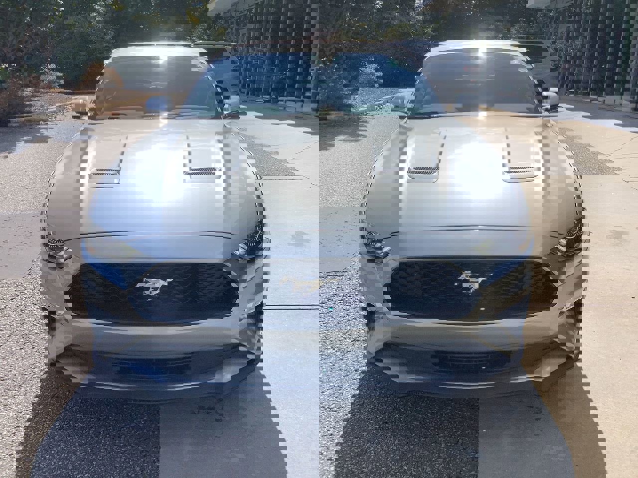 2020 Ford Mustang EcoBoost Premium photo 3