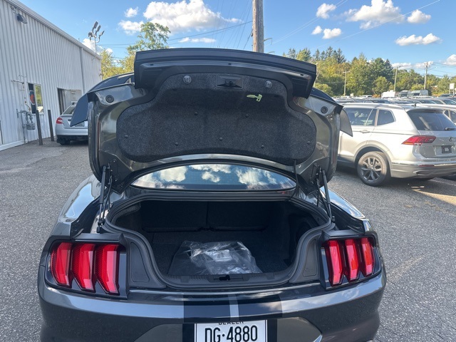 2020 Ford Mustang Shelby GT500 photo 35