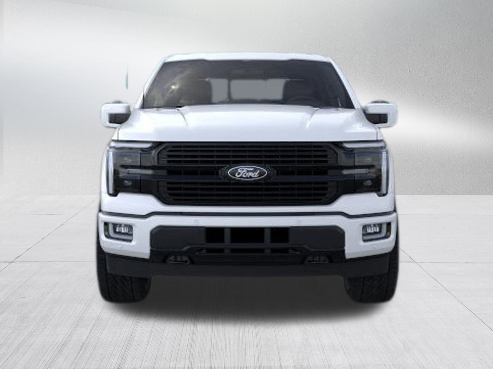 2025 Ford F-150 Platinum photo 2