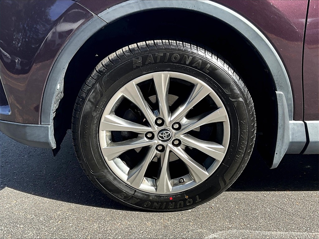 2017 Toyota RAV4 Limited photo 7
