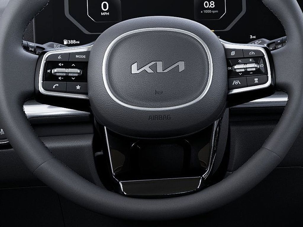 2026 Kia Carnival SX photo 21