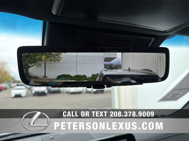 2025 Lexus LX Luxury photo 12