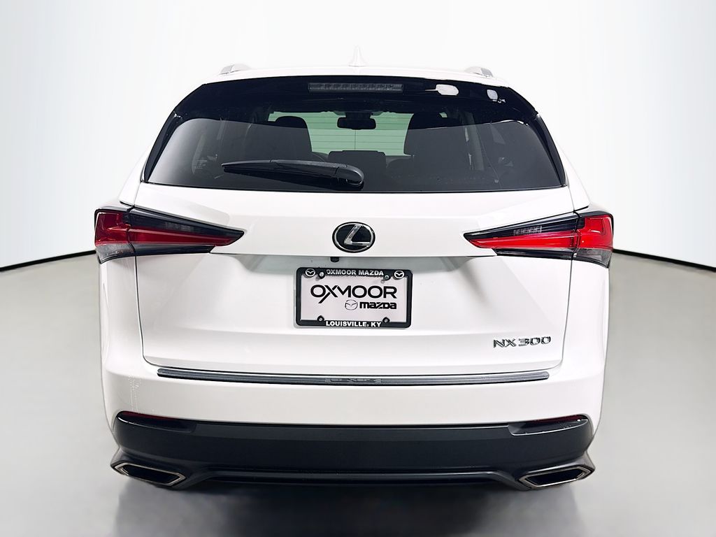 2018 Lexus NX 300 Luxury photo 4