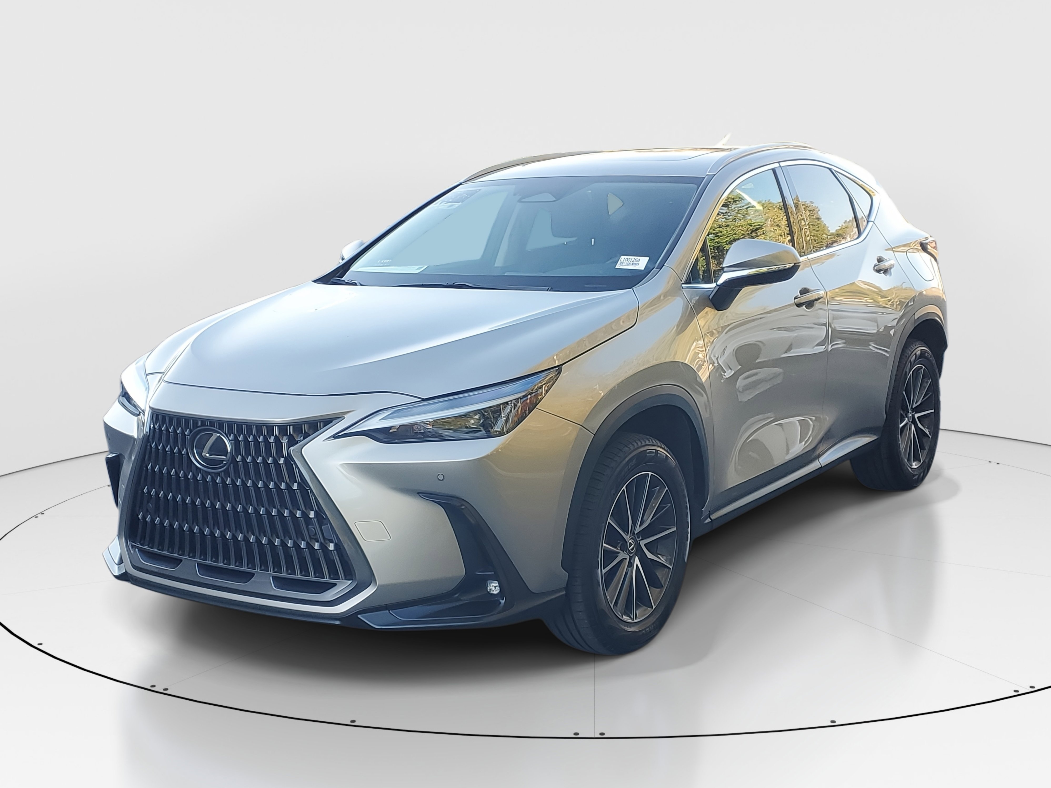 2024 Lexus NX 250 Premium photo 4