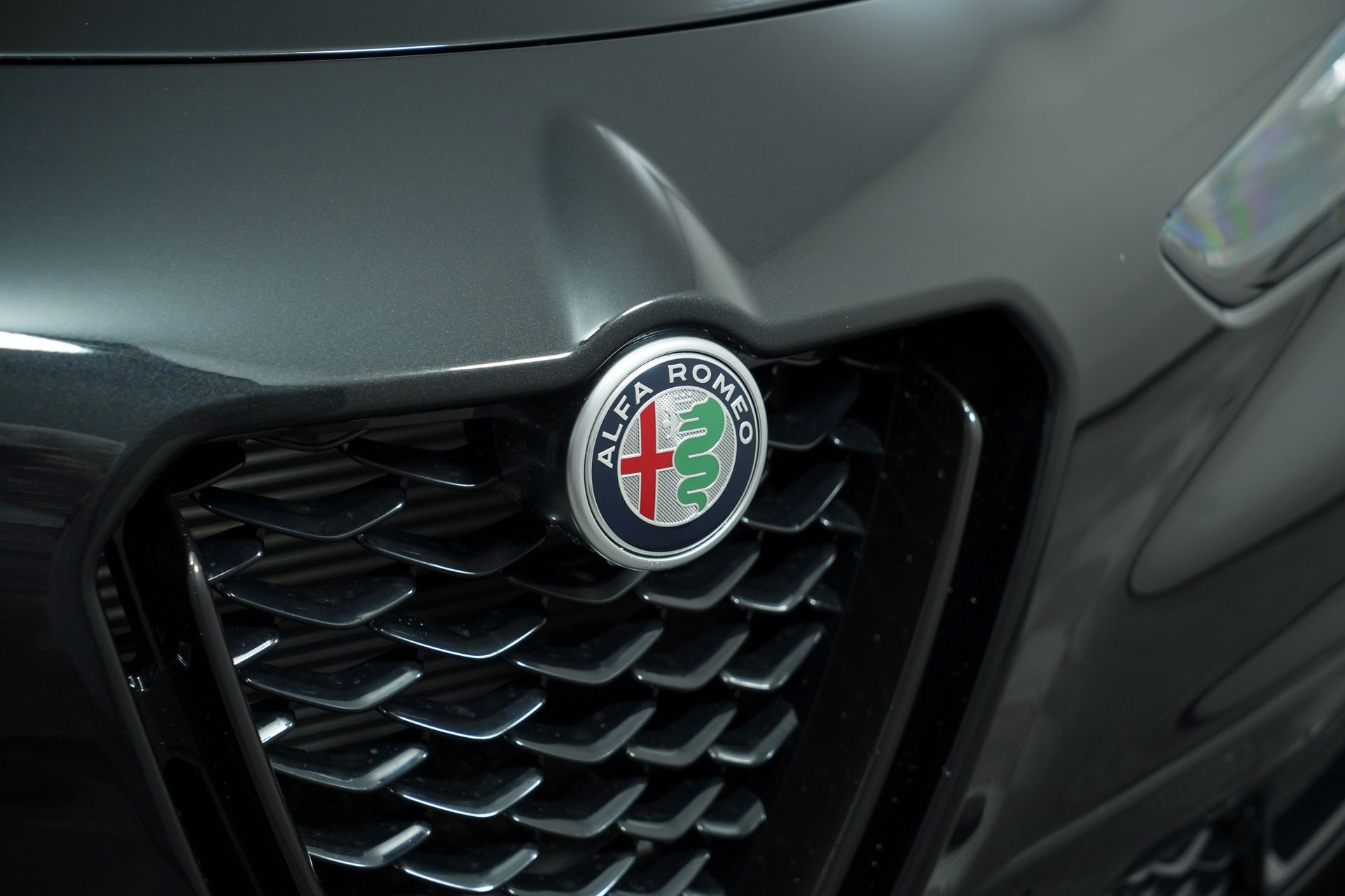 2025 Alfa Romeo Stelvio photo 12