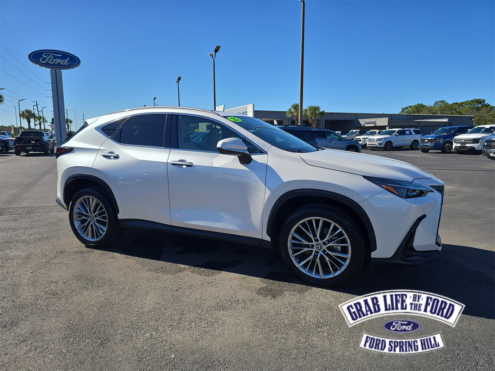 2025 Lexus NX 350's photo