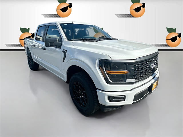 2025 Ford F-150 STX's photo