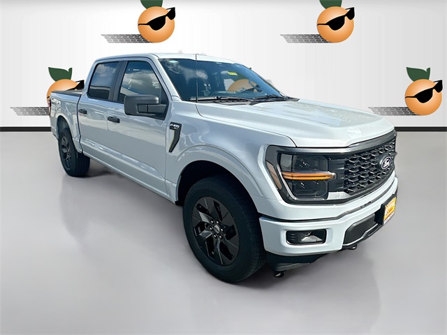 2025 Ford F-150 STX's photo