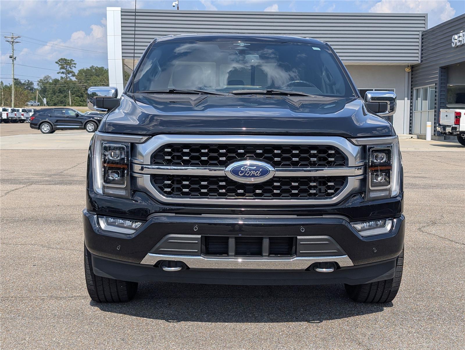 2023 Ford F-150 Platinum photo 9