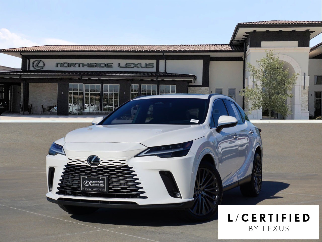 2023 Lexus RX 350's photo