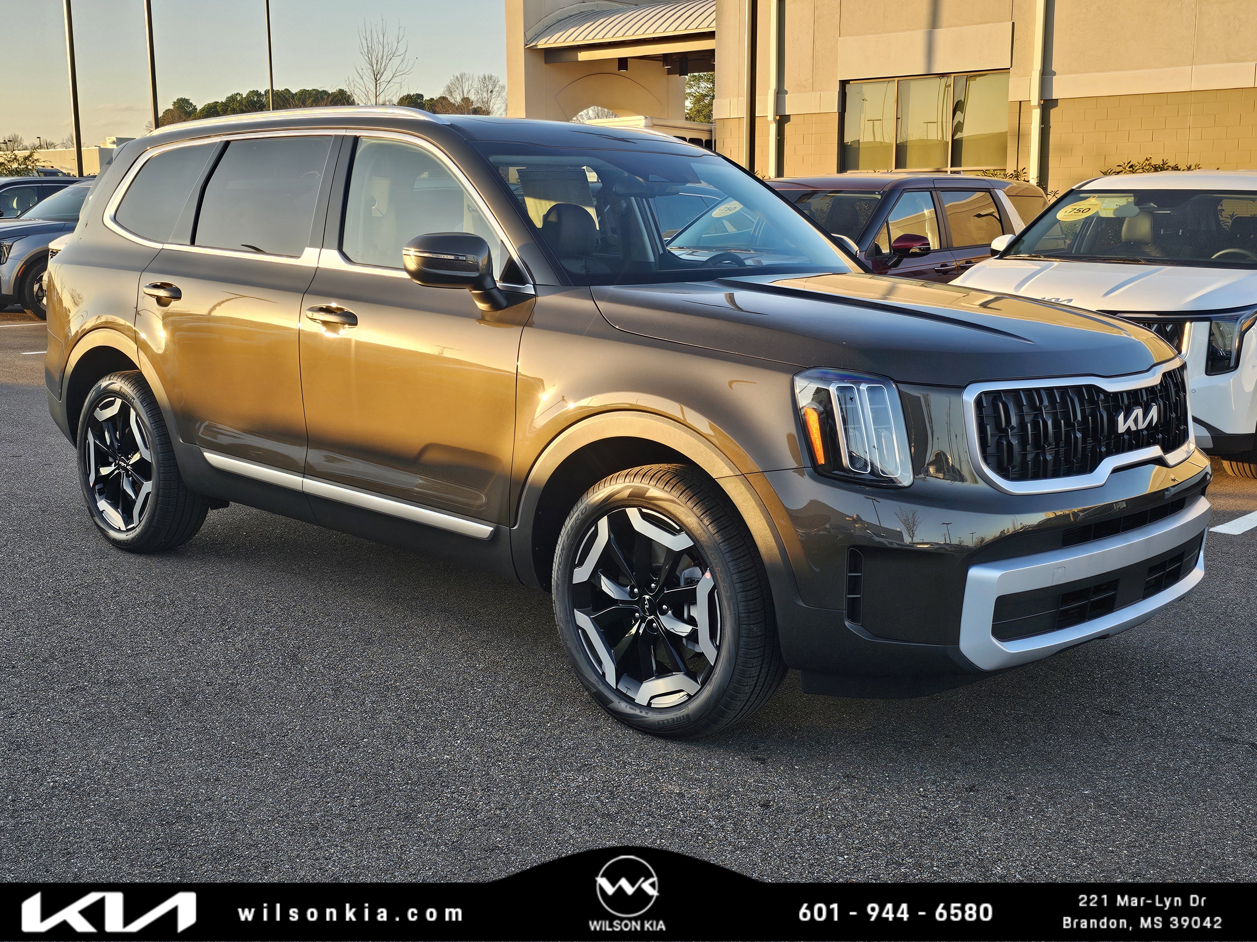 2025 Kia Telluride EX's photo