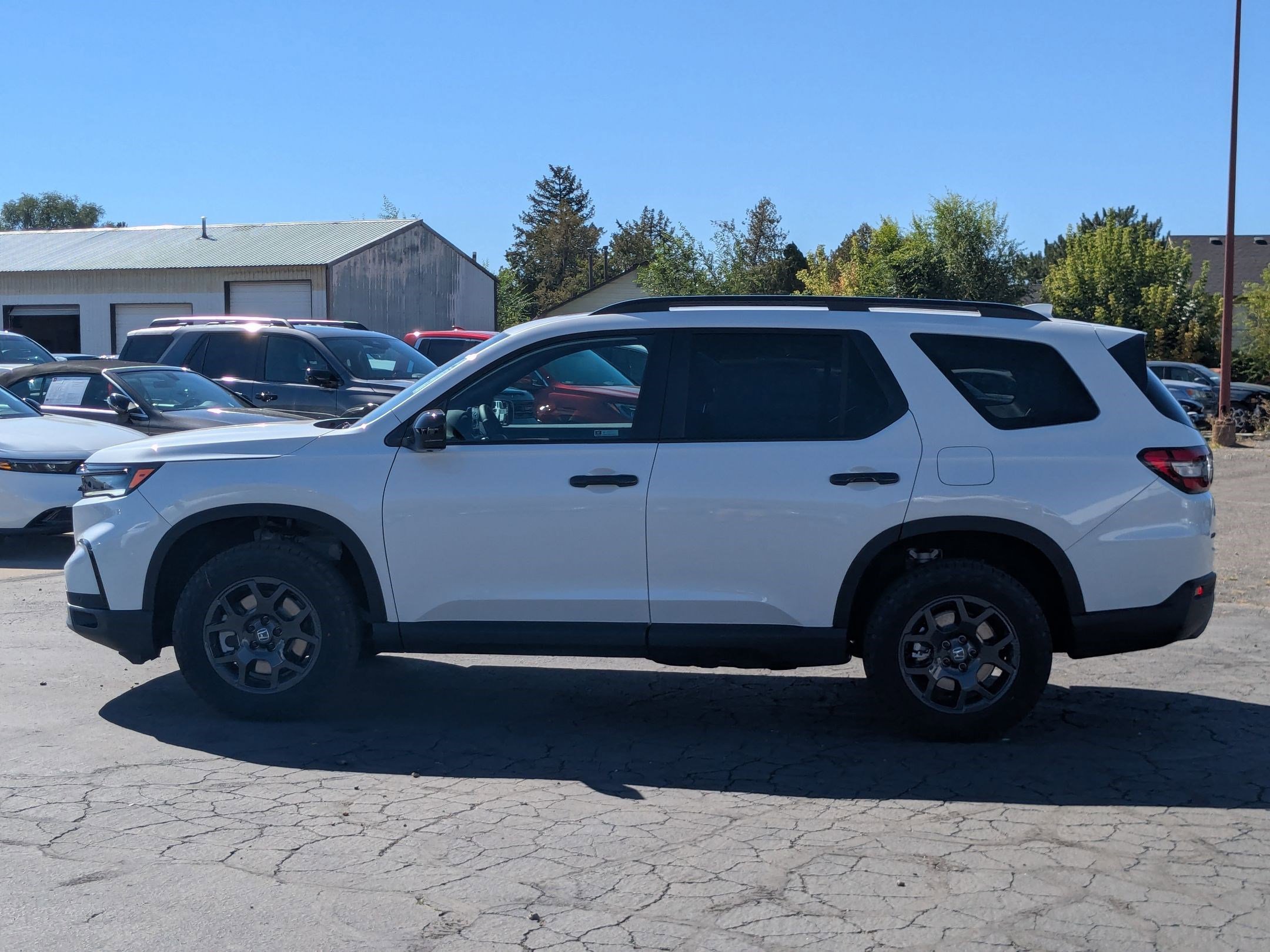 2025 Honda Pilot TrailSport photo 4