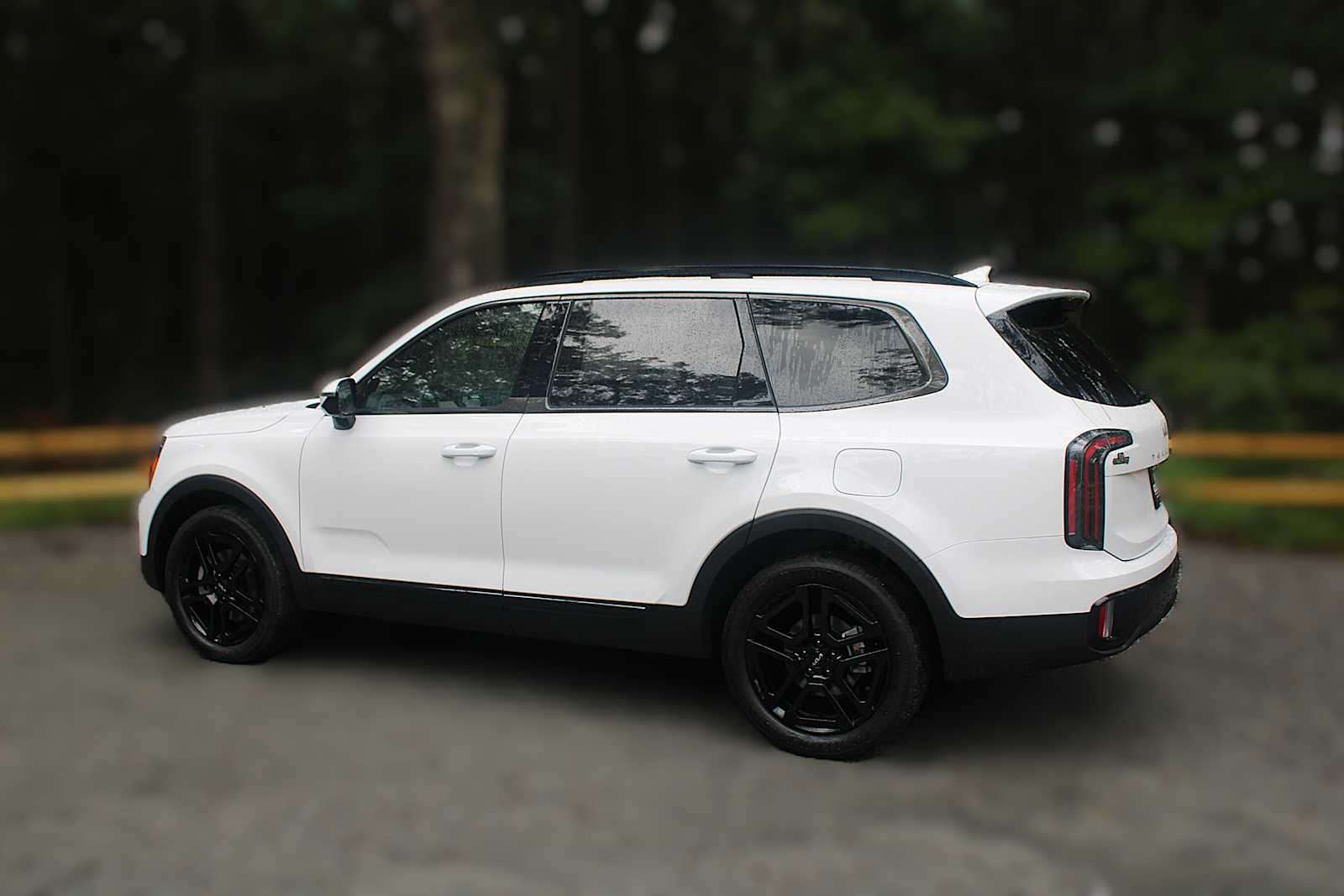 2025 Kia Telluride SX Prestige X-Line photo 5