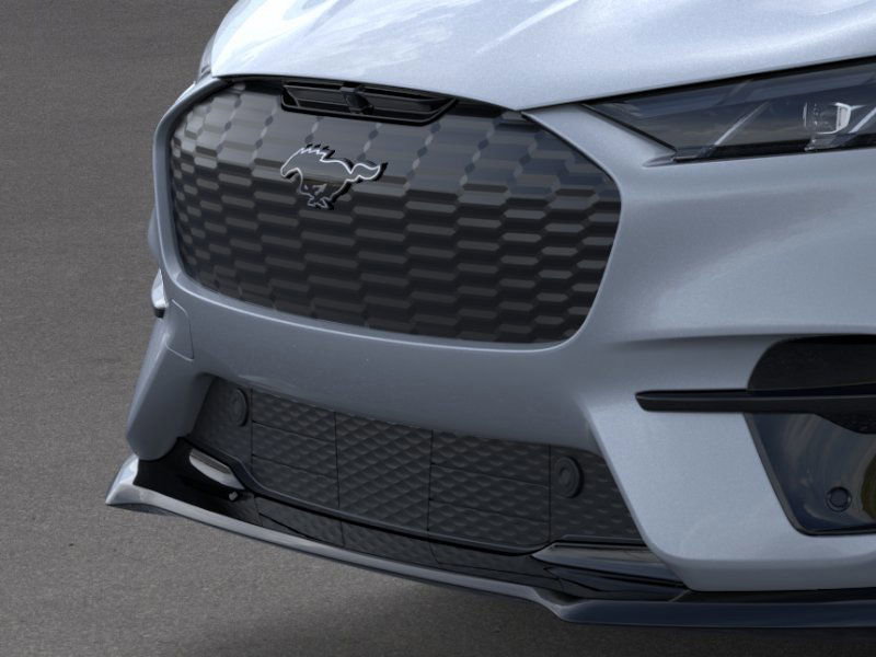 2025 Ford Mustang Mach-E GT photo 12