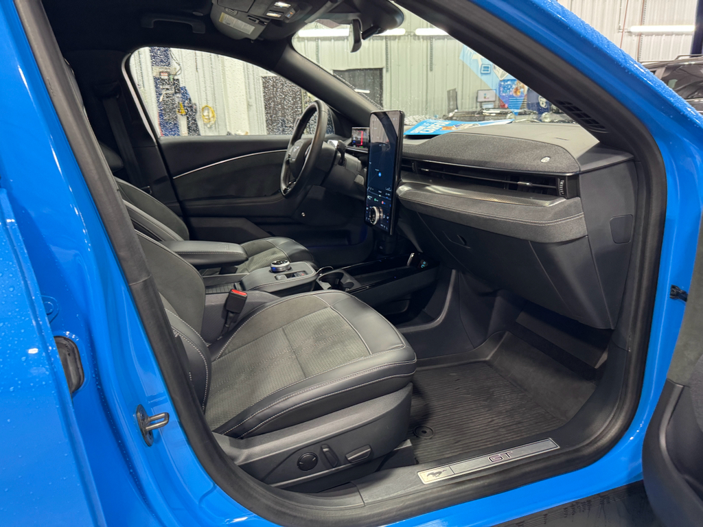 2021 Ford Mustang Mach-E GT photo 15