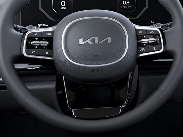 2026 Kia Carnival SX Prestige photo 20