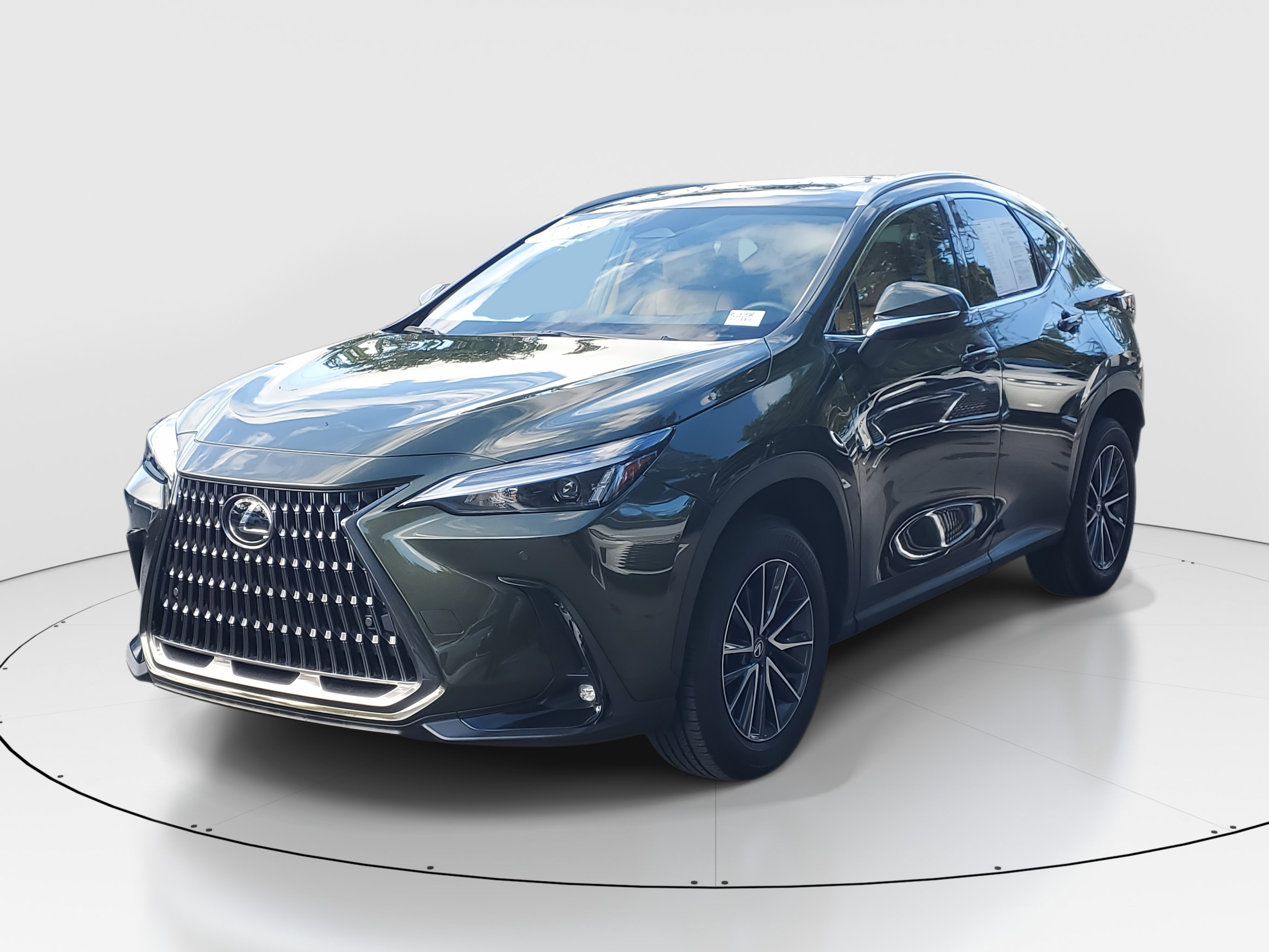2025 Lexus NX 250 Premium photo 4