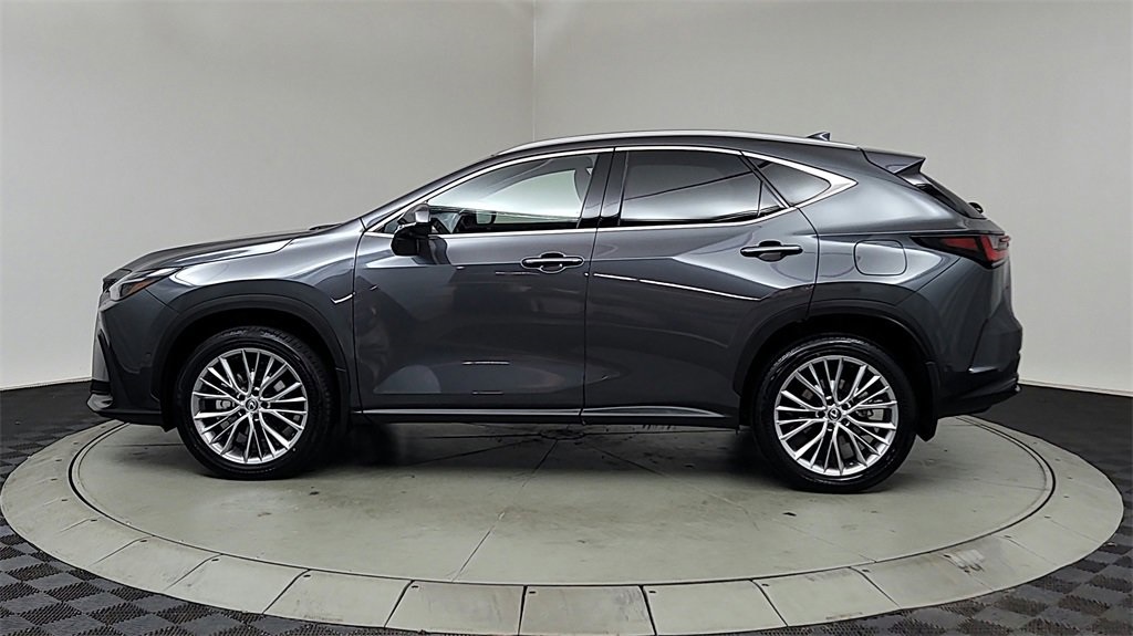2025 Lexus NX 350h Luxury photo 4