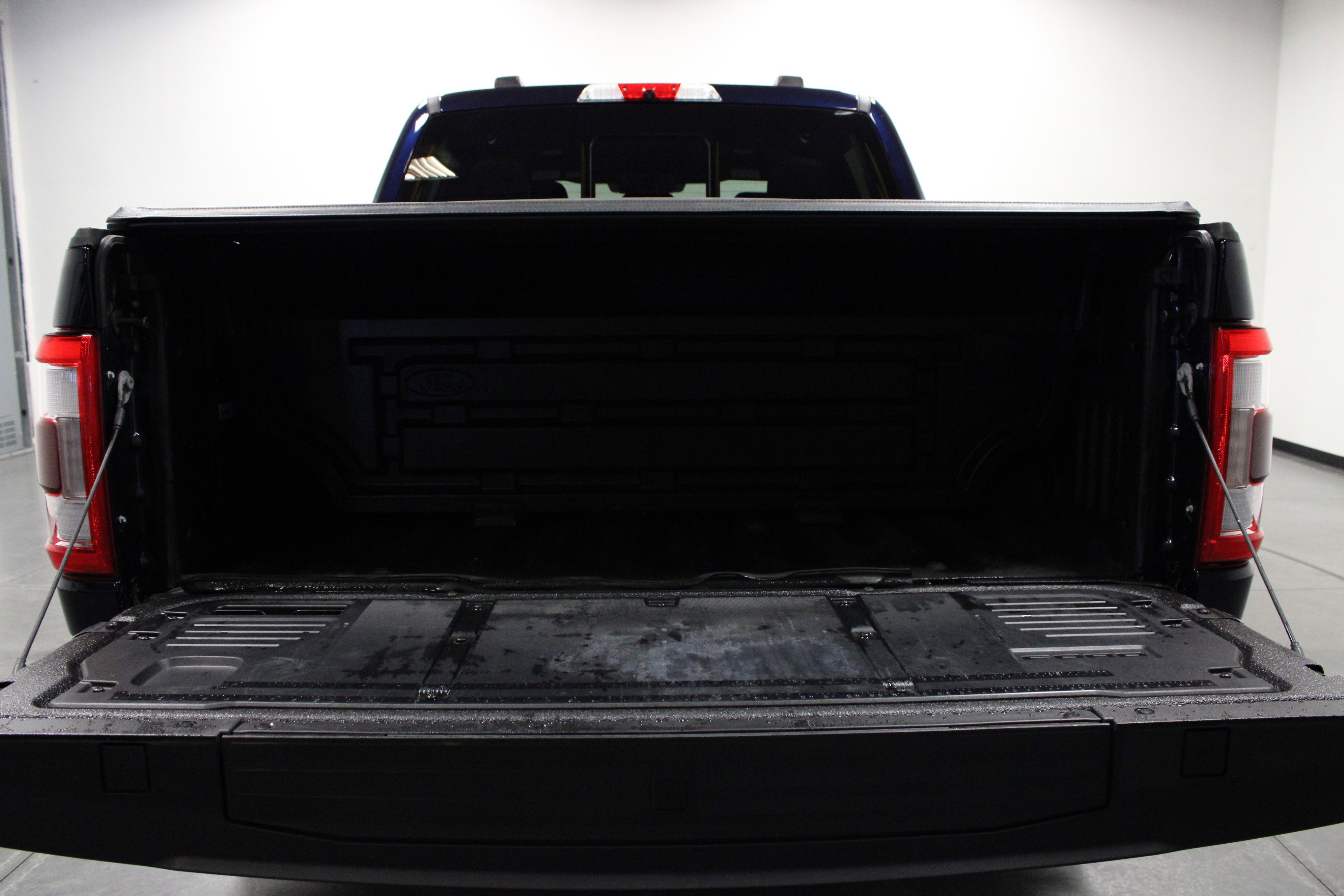 2022 Ford F-150 Platinum photo 12