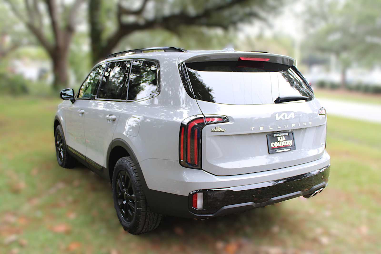 2025 Kia Telluride SX X-Line photo 9