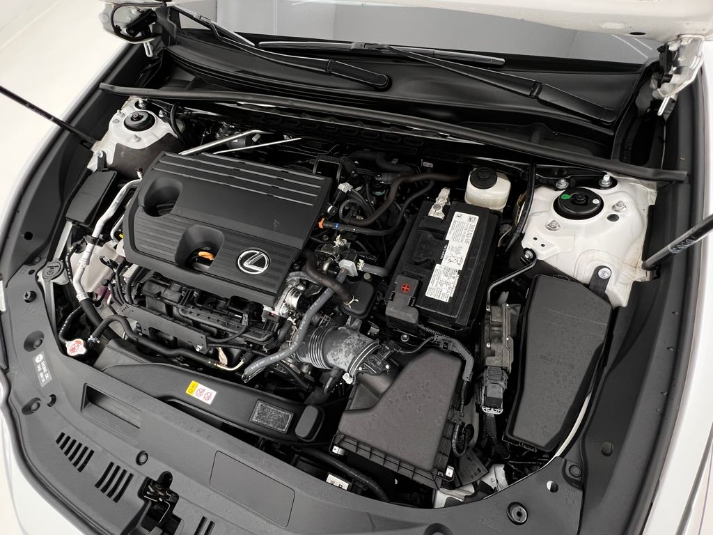 2022 Lexus ES 250 photo 31
