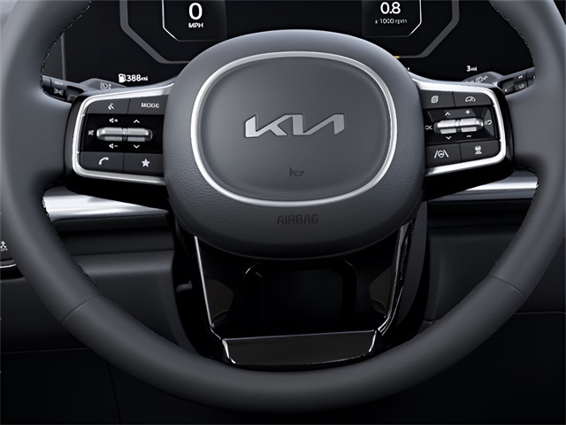 2026 Kia Carnival SX Prestige photo 9