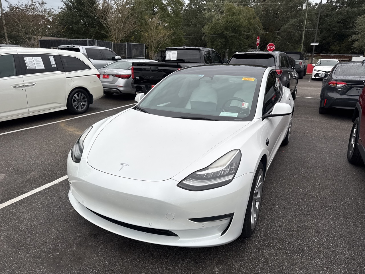 2022 Tesla Model 3 Long Range's photo