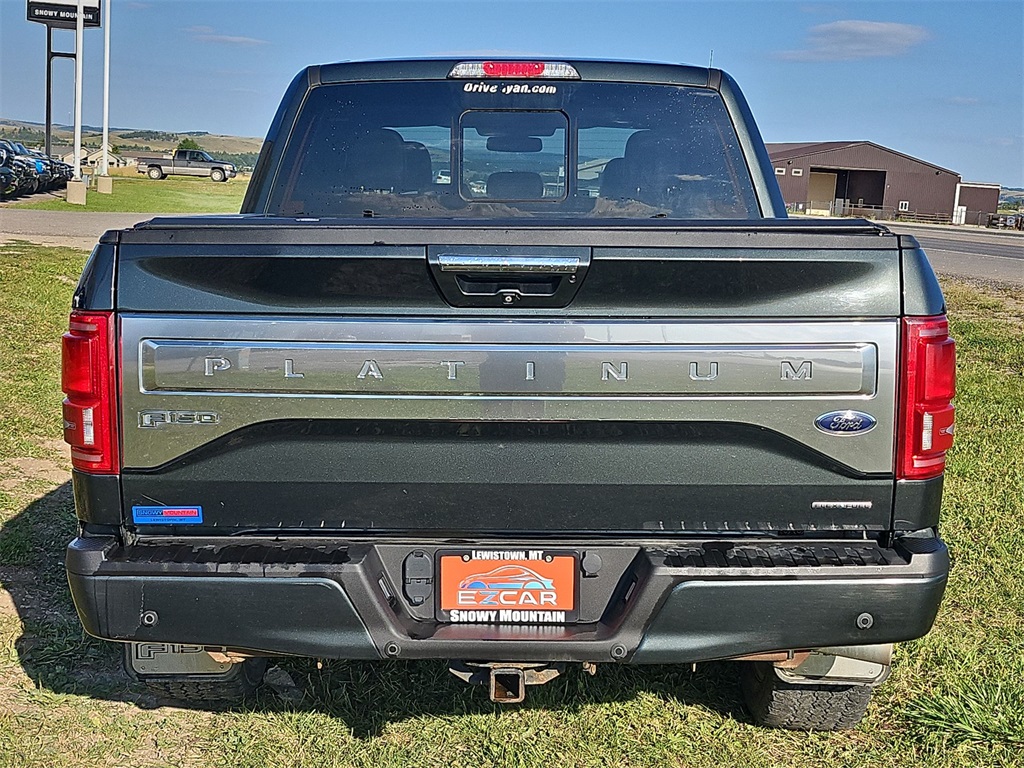 2015 Ford F-150 Platinum photo 9