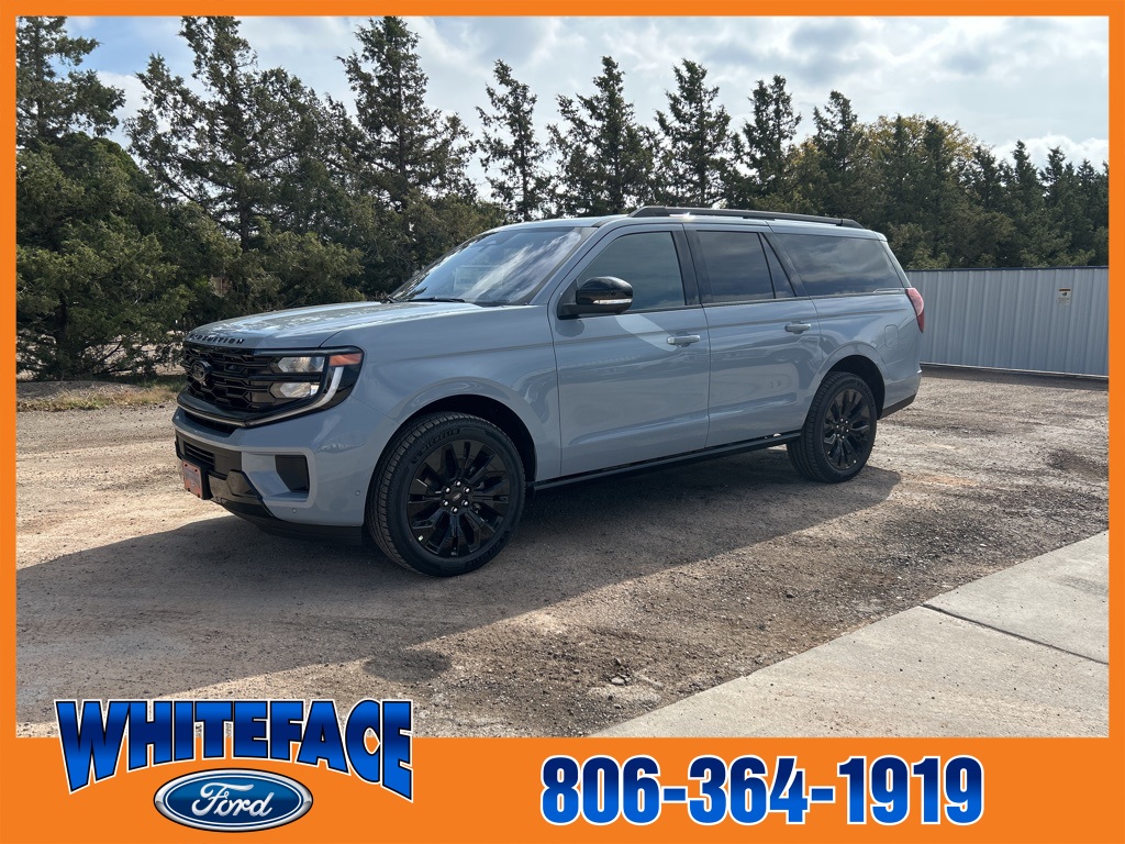 2025 Ford Expedition Platinum's photo