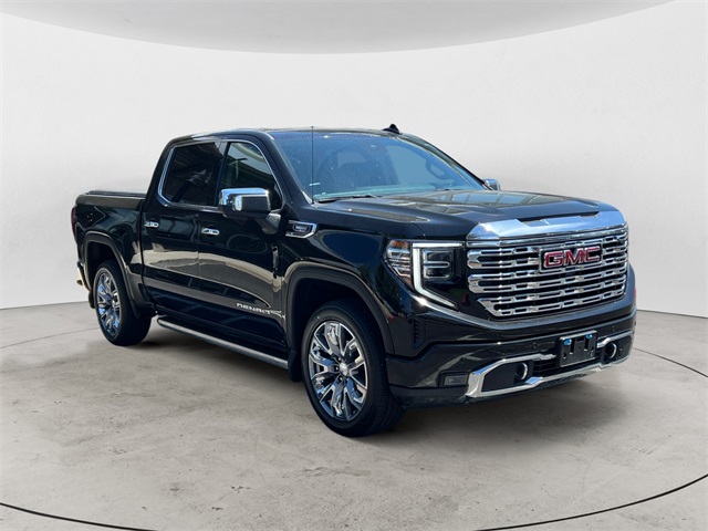 2024 Gmc Sierra 1500 Denali photo 7