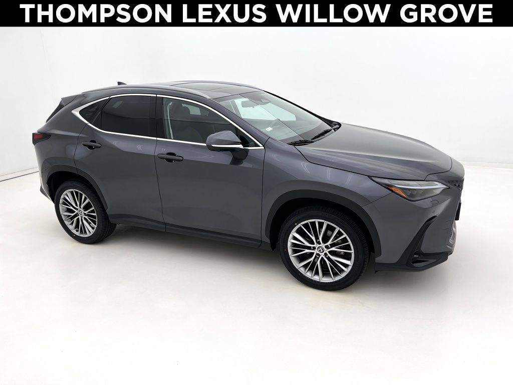 2024 Lexus NX 350 Luxury photo 2