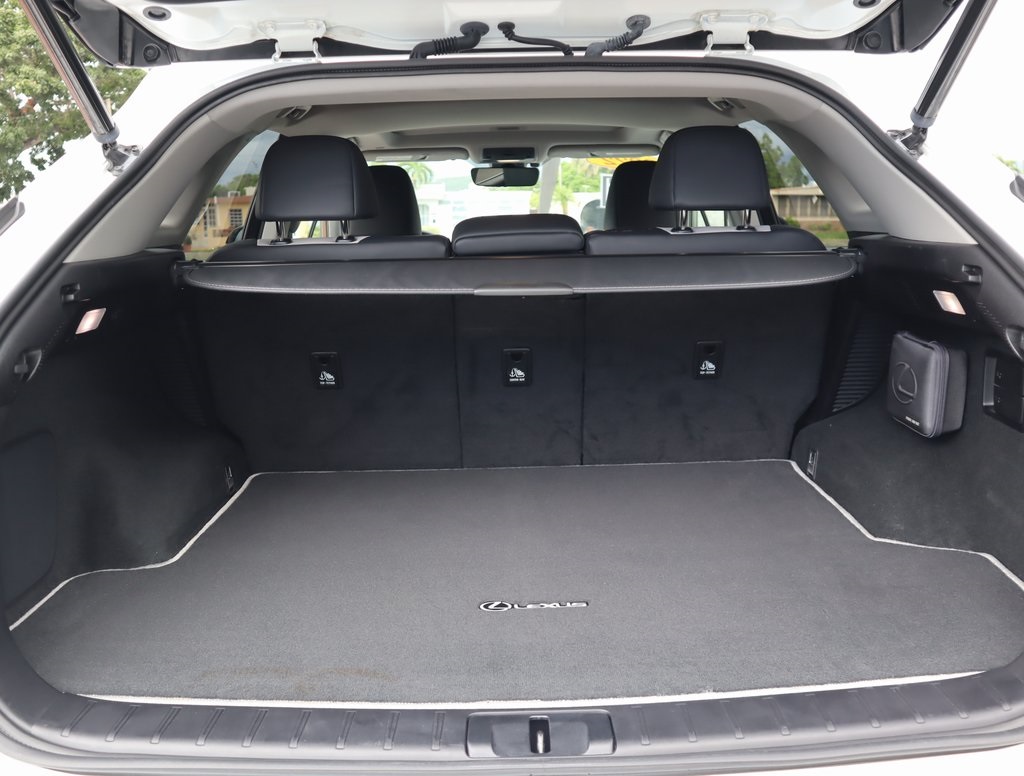 2022 Lexus RX 450h photo 20