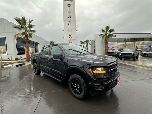 2025 Ford F-150 XLT's photo