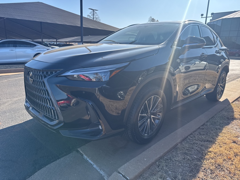 2025 Lexus NX 250's photo